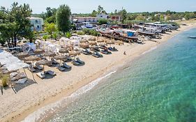 Elektra Comfort Hotel By Del Mare
